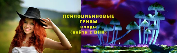 марки lsd Липки